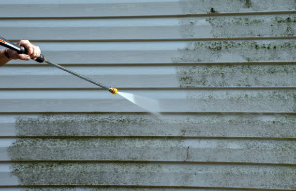 Reliable Farmersville, TX Pressure Washing Solutions